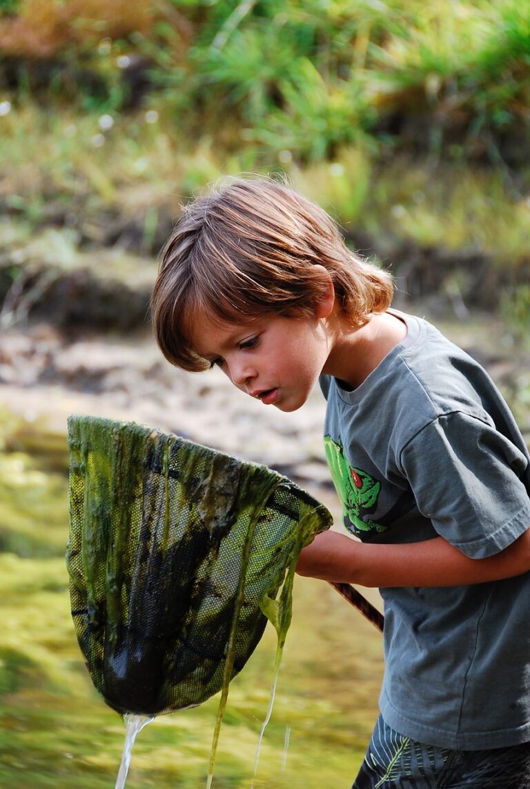 fish, river, boy-1563185.jpg