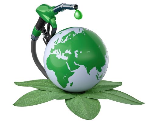 green energy, plant, bio-7754536.jpg